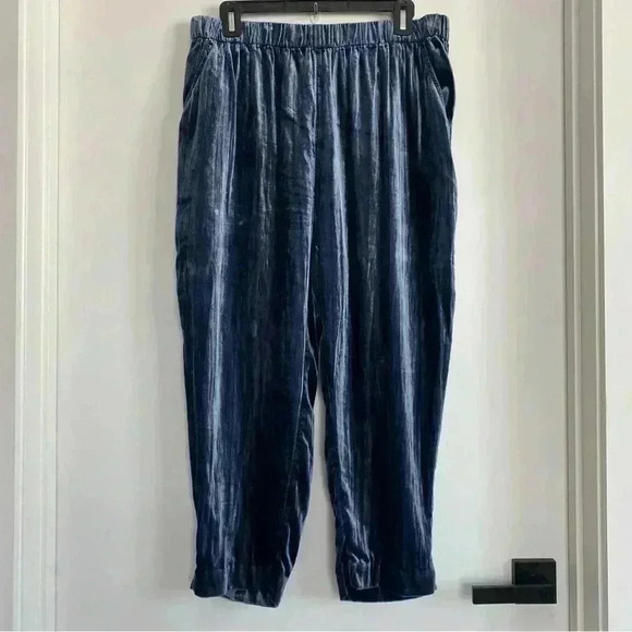 Anthropologie Pants - Anthropologie Ettitwa velvet velour blue pants MP